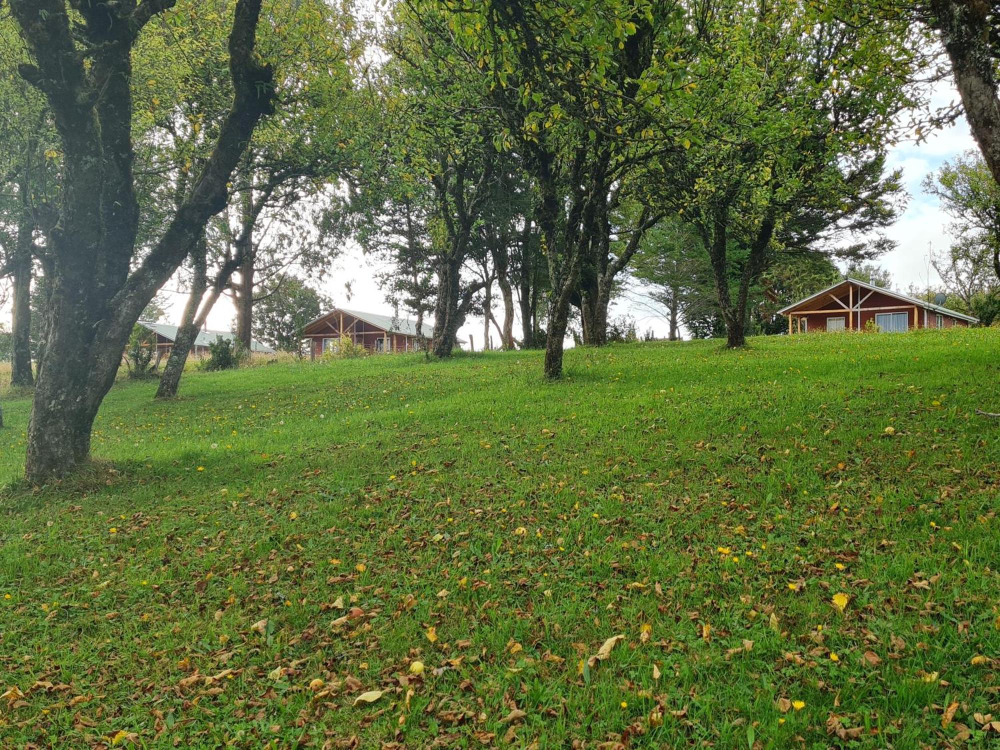 Susurros Del Bosque * Ancud