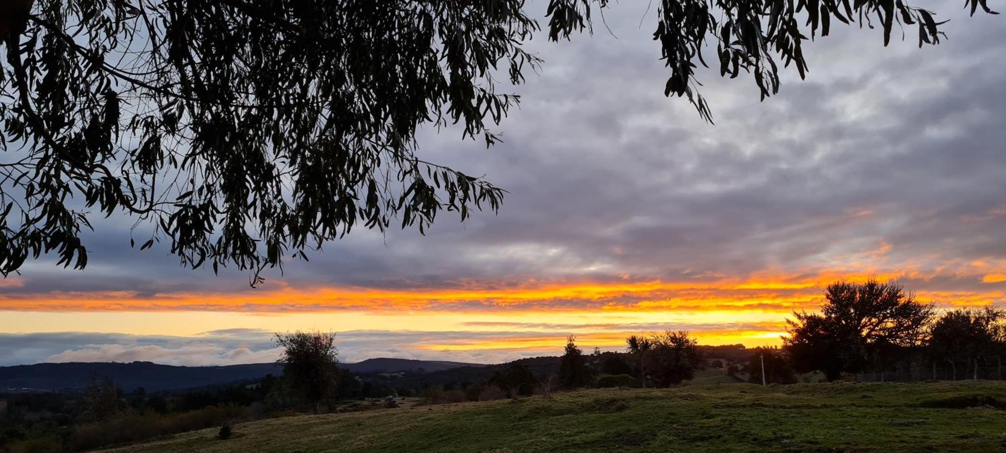 Susurros Del Bosque Ancud